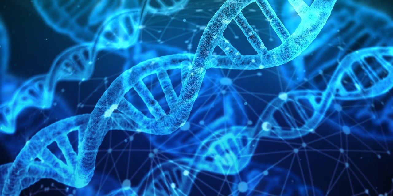 découvrez les dernières innovations technologiques qui transforment le monde, des avancées en intelligence artificielle aux nouvelles tendances du numérique. explorez comment la technologie façonne notre avenir.