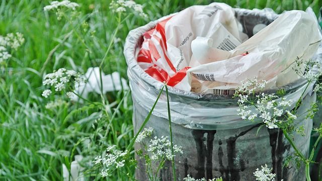 Tracteur poubelles : tout savoir sur l’entretien et la gestion en 2025